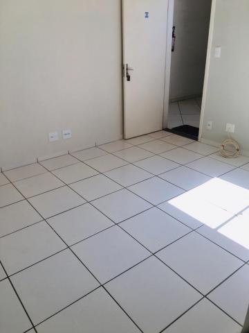 imagem 3 - Apartamento - Padrão imagem 3 - Apartamento - Padrão