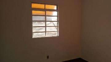 imagem 5 - Casa - Padrão imagem 5 - Casa - Padrão