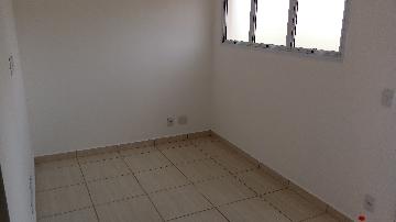 imagem 1 - Apartamento de 31m² com 01 quarto à venda - Vila Monte Alegre imagem 1 - Apartamento de 31m² com 01 quarto à venda - Vila Monte Alegre