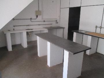 imagem 2 - Casa comercial de 424m² de 04 salas para locação - Nova Ribeirânia imagem 2 - Casa comercial de 424m² de 04 salas para locação - Nova Ribeirânia