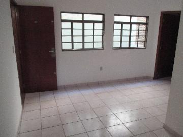 imagem 3 - Apartamento - Padrão imagem 3 - Apartamento - Padrão