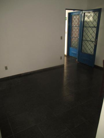 Apartamentos / Studio / Kitnet em Ribeirão Preto 