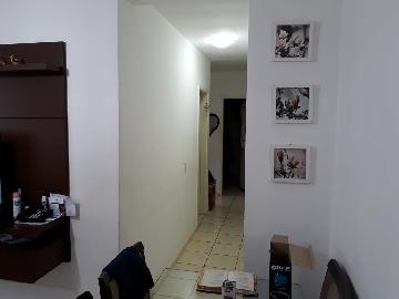 imagem 2 - Apartamento - Padrão imagem 2 - Apartamento - Padrão