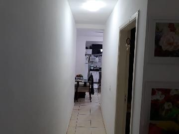 imagem 3 - Apartamento - Padrão imagem 3 - Apartamento - Padrão