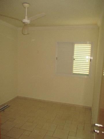 imagem 3 - APARTAMENTO / KIT A VENDA NO BAIRRO NOVA ALIANÇA imagem 3 - APARTAMENTO / KIT A VENDA NO BAIRRO NOVA ALIANÇA