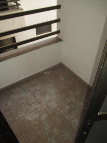 imagem 3 - APARTAMENTO PRÓXIMO Á USP imagem 3 - APARTAMENTO PRÓXIMO Á USP