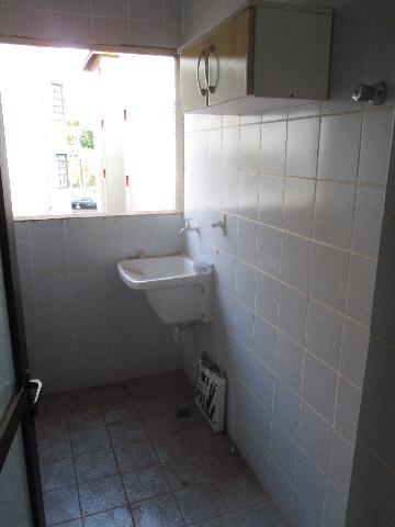 imagem 5 - APARTAMENTO PRÓXIMO Á USP imagem 5 - APARTAMENTO PRÓXIMO Á USP