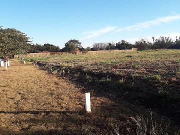 imagem 1 - Terreno - Padrão imagem 1 - Terreno - Padrão