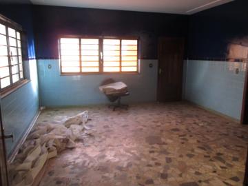 imagem 4 - Casa - Padrão imagem 4 - Casa - Padrão