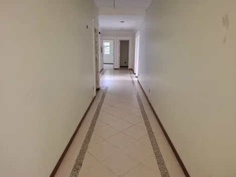 imagem 5 - Comercial padrão - Casa comercial imagem 5 - Comercial padrão - Casa comercial