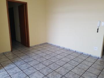 imagem 3 - Apartamento - Padrão imagem 3 - Apartamento - Padrão