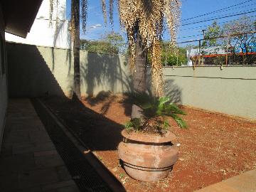 imagem 2 - Comercial padrão - Casa comercial imagem 2 - Comercial padrão - Casa comercial