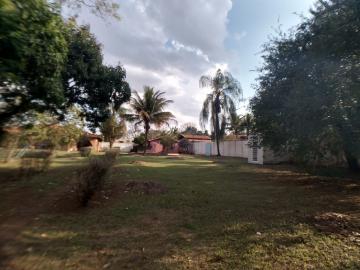 Alugar Casas / Chácara/Rancho em Ribeirão Preto R$ 3.000,00 - Foto 12