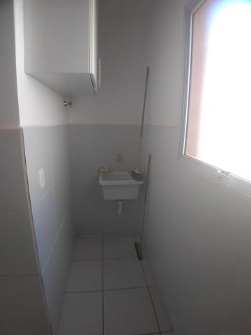 imagem 5 - Apartamento de 33m² com 01 suíte à venda - Nova Aliança imagem 5 - Apartamento de 33m² com 01 suíte à venda - Nova Aliança