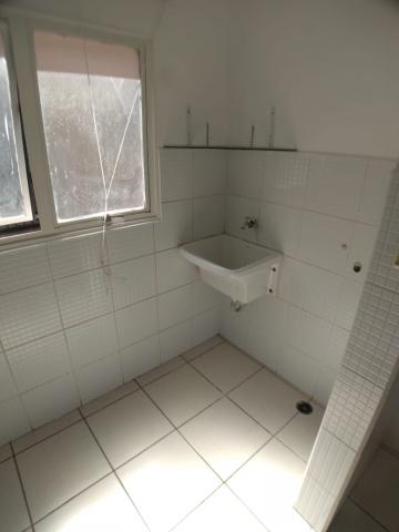 imagem 4 - Apartamento de 01 quarto para locação - Nova Aliança imagem 4 - Apartamento de 01 quarto para locação - Nova Aliança