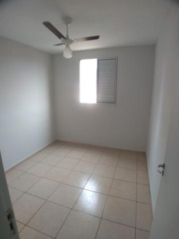 imagem 3 - Apartamento - Padrão imagem 3 - Apartamento - Padrão