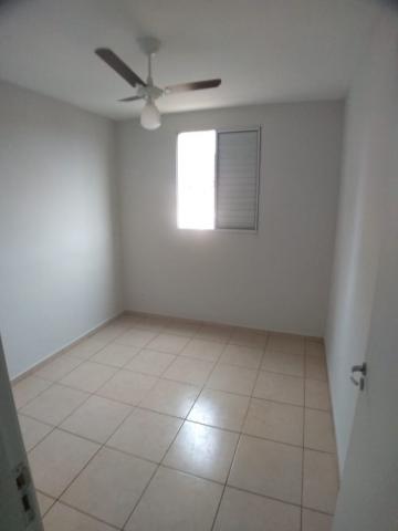 Alugar Apartamentos / Padrão em Ribeirão Preto R$ 500,00 - Foto 3