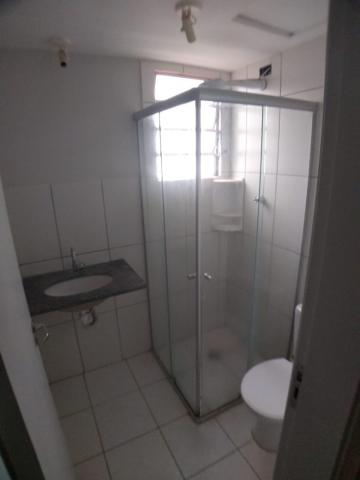 Alugar Apartamentos / Padrão em Ribeirão Preto R$ 500,00 - Foto 4