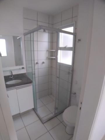 imagem 4 - APARTAMENTO NA LAGOINHA imagem 4 - APARTAMENTO NA LAGOINHA