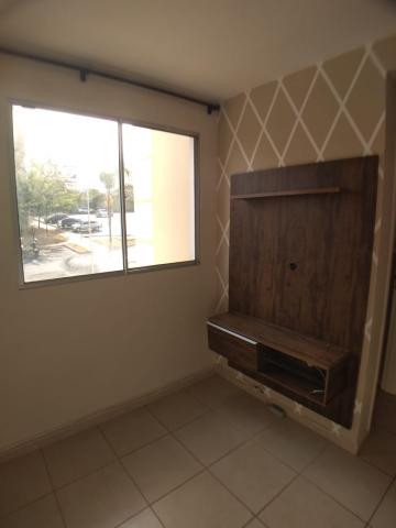 imagem 3 - Apartamento - Padrão imagem 3 - Apartamento - Padrão