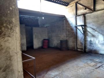 imagem 1 - Comercial padrão - Galpão - Armazém imagem 1 - Comercial padrão - Galpão - Armazém