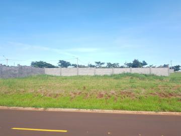 imagem 3 - Terreno - Padrão imagem 3 - Terreno - Padrão