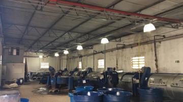 imagem 4 - GARLPÃO INDUSTRIAL EM SÃO SIMÃO-SP imagem 4 - GARLPÃO INDUSTRIAL EM SÃO SIMÃO-SP