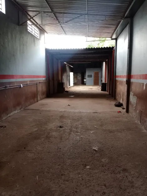 imagem 1 - Comercial padrão - Galpão - Armazém imagem 1 - Comercial padrão - Galpão - Armazém