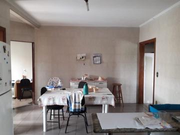 imagem 5 - Casa - Padrão imagem 5 - Casa - Padrão