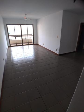 imagem 3 - APARTAMENTO NO CENTRO imagem 3 - APARTAMENTO NO CENTRO