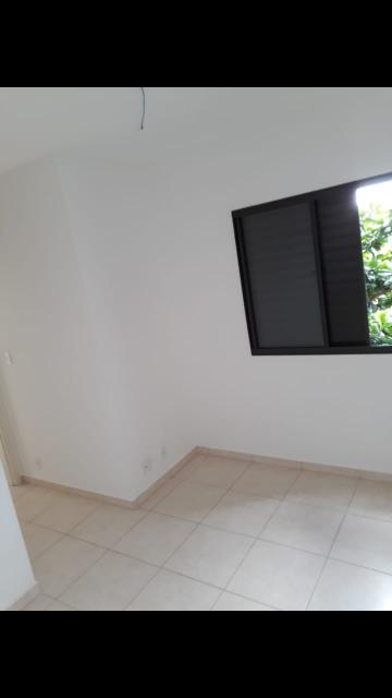 imagem 5 - Apartamento - Padrão imagem 5 - Apartamento - Padrão