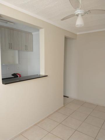 imagem 2 - Apartamento de 46 m² com 2 quartos - Parque São Sebastião imagem 2 - Apartamento de 46 m² com 2 quartos - Parque São Sebastião