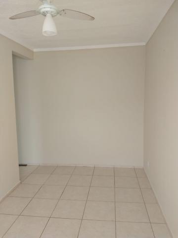 imagem 1 - Apartamento de 46 m² com 2 quartos - Parque São Sebastião imagem 1 - Apartamento de 46 m² com 2 quartos - Parque São Sebastião