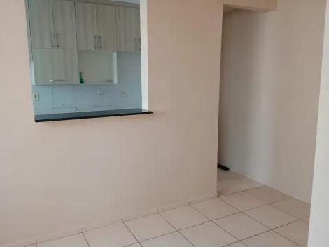 imagem 3 - Apartamento de 46 m² com 2 quartos - Parque São Sebastião imagem 3 - Apartamento de 46 m² com 2 quartos - Parque São Sebastião