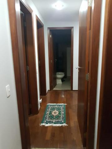 imagem 3 - Apartamento - Padrão imagem 3 - Apartamento - Padrão