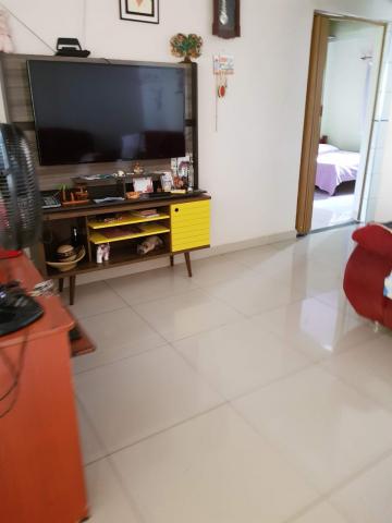imagem 1 - Casa - Padrão imagem 1 - Casa - Padrão
