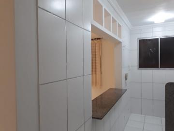 imagem 3 - Apartamento - Padrão imagem 3 - Apartamento - Padrão