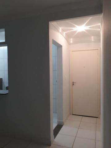 imagem 1 - Apartamento - Padrão imagem 1 - Apartamento - Padrão