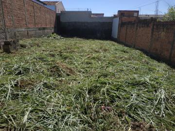 imagem 4 - Terreno - Padrão imagem 4 - Terreno - Padrão