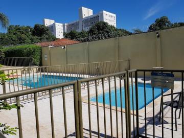 Alugar Apartamentos / Padrão em Ribeirão Preto R$ 800,00 - Foto 31