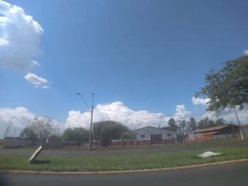 imagem 4 - Comercial padrão - Galpão - Armazém imagem 4 - Comercial padrão - Galpão - Armazém