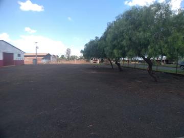 imagem 2 - Comercial padrão - Galpão - Armazém imagem 2 - Comercial padrão - Galpão - Armazém