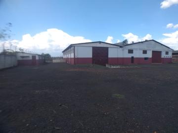 imagem 1 - Comercial padrão - Galpão - Armazém imagem 1 - Comercial padrão - Galpão - Armazém