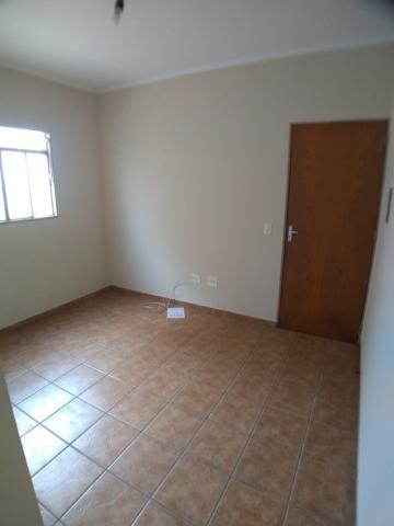 imagem 2 - Apartamento de 35m² com 01 quarto para locação - Parque Industrial Lagoinha imagem 2 - Apartamento de 35m² com 01 quarto para locação - Parque Industrial Lagoinha