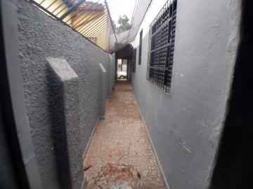 imagem 5 - Comercial padrão - Casa comercial imagem 5 - Comercial padrão - Casa comercial