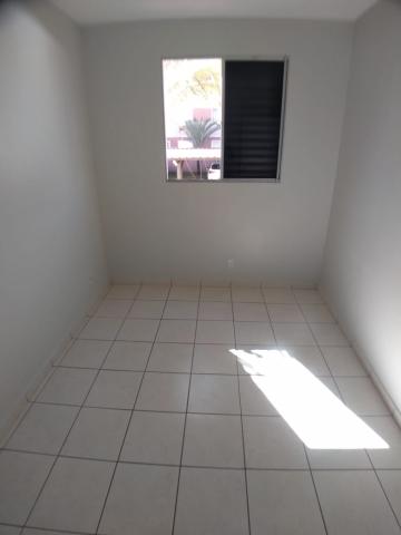 imagem 5 - Apartamento de 47m² com 02 quartos para locação e venda - Parque dos Lagos imagem 5 - Apartamento de 47m² com 02 quartos para locação e venda - Parque dos Lagos
