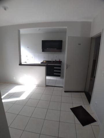 imagem 2 - Apartamento de 47m² com 02 quartos para locação e venda - Parque dos Lagos imagem 2 - Apartamento de 47m² com 02 quartos para locação e venda - Parque dos Lagos