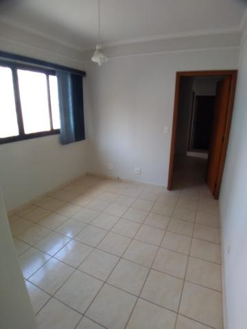 imagem 1 - Apartamento de 38m² com 01 quarto para locação - Vila Ana Maria imagem 1 - Apartamento de 38m² com 01 quarto para locação - Vila Ana Maria