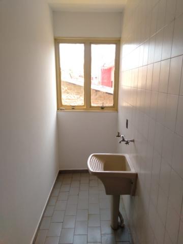 Alugar Apartamentos / Studio / Kitnet em Ribeirão Preto R$ 450,00 - Foto 5