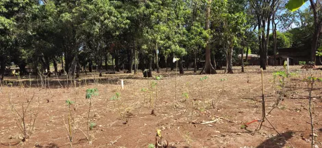 imagem 4 - Terreno - Padrão imagem 4 - Terreno - Padrão